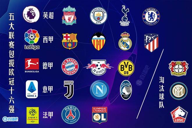 放大整体长 放大整体长